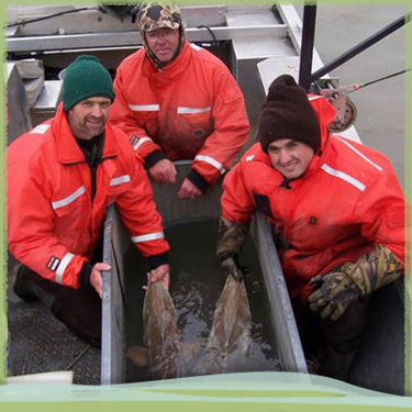 Photo of scientists with sturgeon